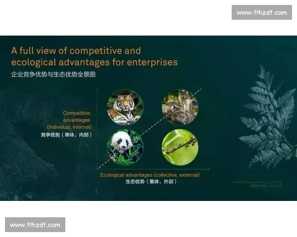 蒙特罗斯对阵罗斯焦点大战：实力碰撞与战术博弈全景解析与赛场风云解读