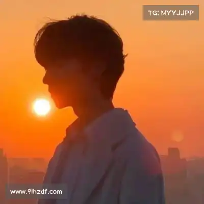 蓬盈晓